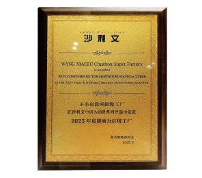 2025年度影响力灯塔工厂